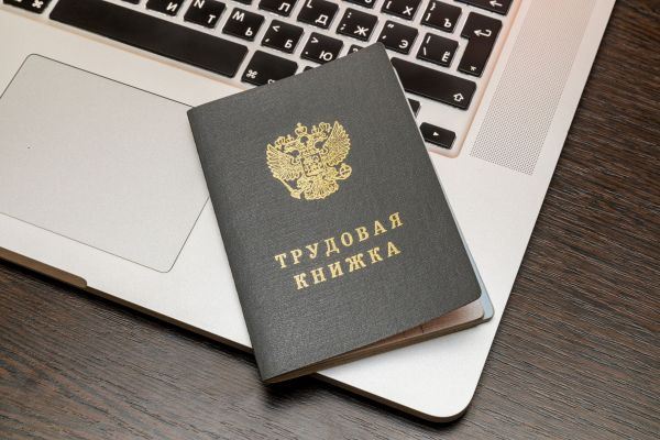 Электронная трудовая книжка есть у всех
		89