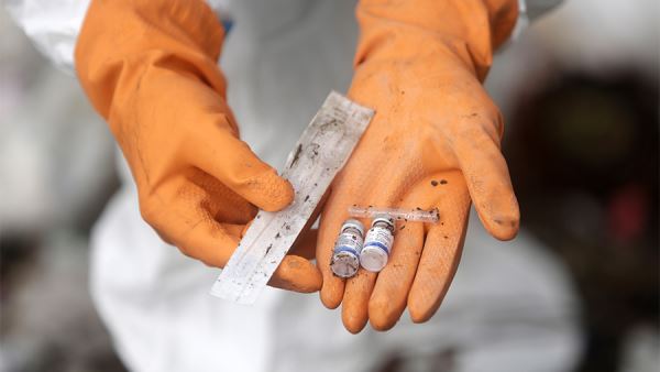 Ученые рассказали о влиянии микропластика на здоровье костей