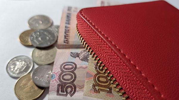 Россиянам сообщили о скором завершении зарплатной гонки