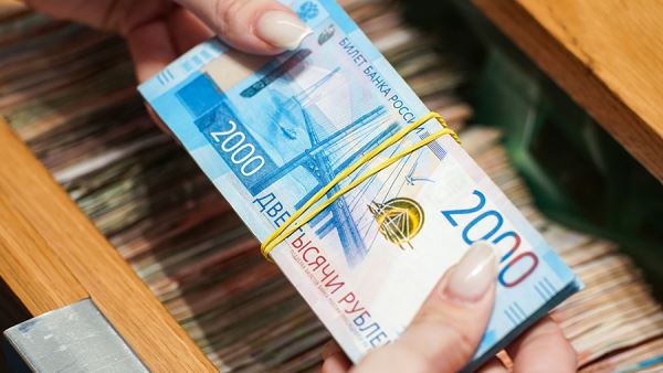 Экономист предупредил о риске вытеснения частных инвестиций госсектором из-за госдолга