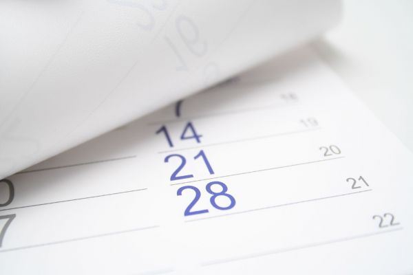 Срок уплаты организациями имущественных налогов изменят